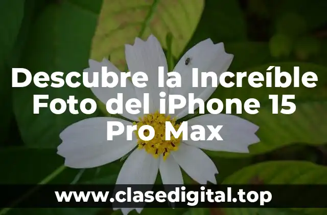 Descubre la Increíble Foto del iPhone 15 Pro Max