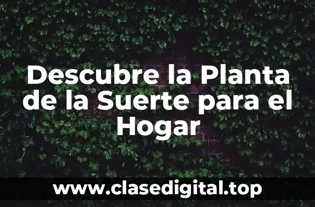 Descubre la Planta de la Suerte para el Hogar