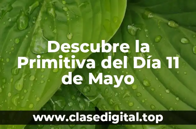 Orígenes de la Primitiva del Día 11 de Mayo