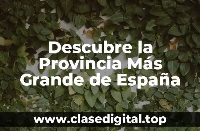 Descubre la Provincia Más Grande de España