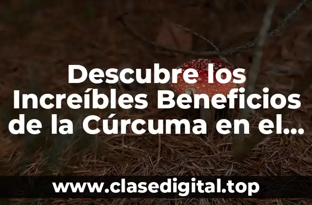 Reduce el Dolor y la Inflamación con la Cúrcuma