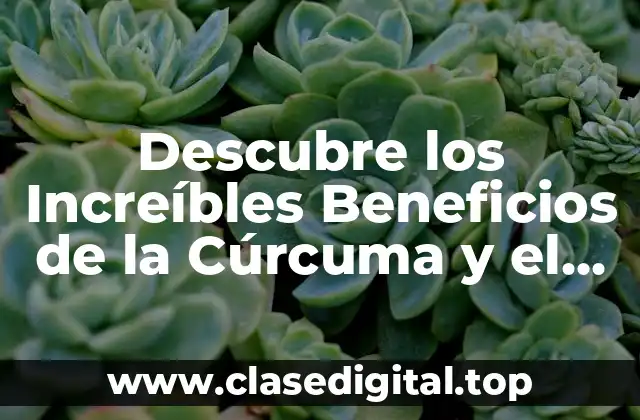 Descubre los Increíbles Beneficios de la Cúrcuma y el Jengibre