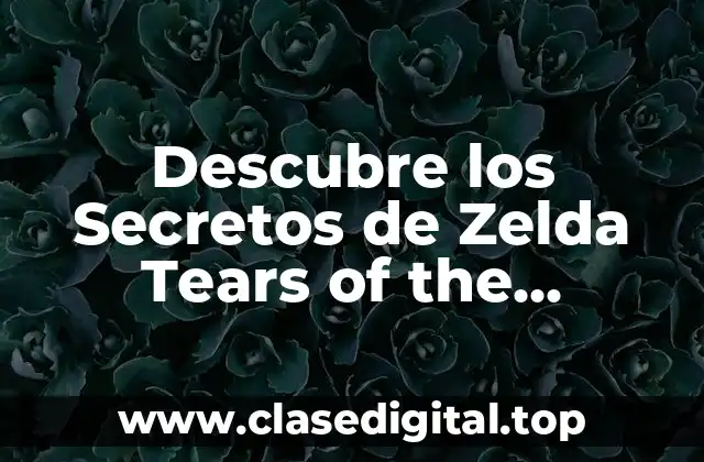 ¿Qué son los Tears of the Kingdom?