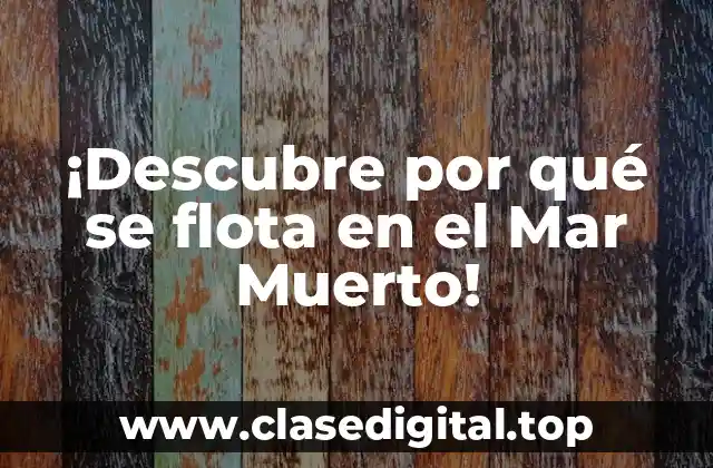 ¡Descubre por qué se flota en el Mar Muerto!