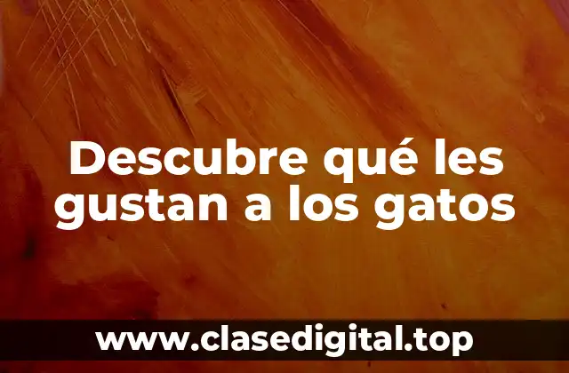 Descubre qué les gustan a los gatos