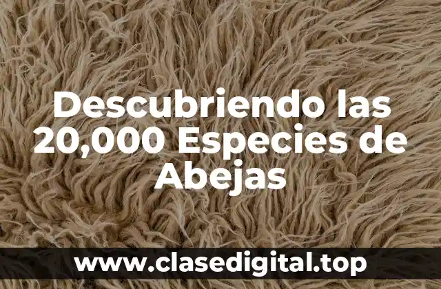Descubriendo las 20,000 Especies de Abejas