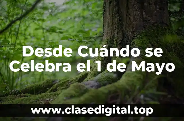 Desde Cuándo se Celebra el 1 de Mayo