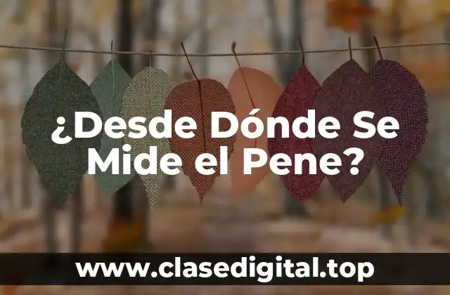 ¿Desde Dónde Se Mide el Pene?