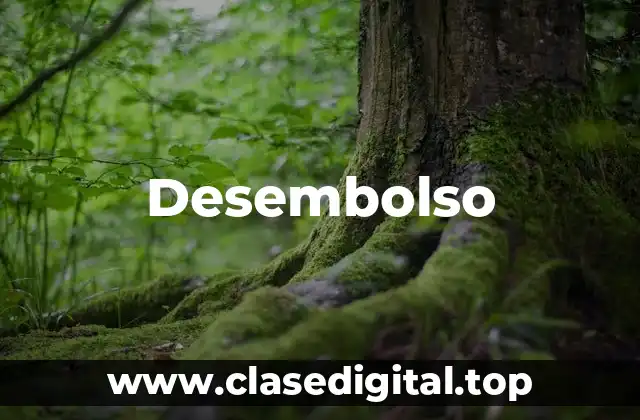 Ejemplos de desembolso