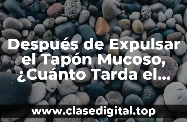 Después de Expulsar el Tapón Mucoso, ¿Cuánto Tarda el Parto?