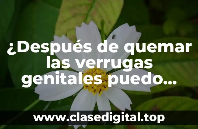 Cómo se eliminan las verrugas genitales
