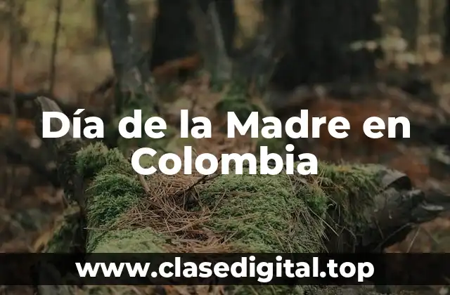 Día de la Madre en Colombia