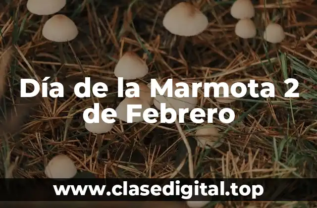 Día de la Marmota 2 de Febrero