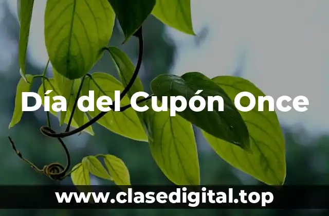 Día del Cupón Once