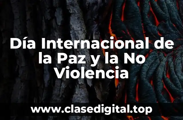 ¿Qué es la no violencia y por qué es importante?