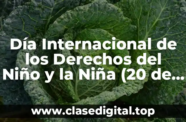 Día Internacional de los Derechos del Niño y la Niña (20 de noviembre que se celebra)