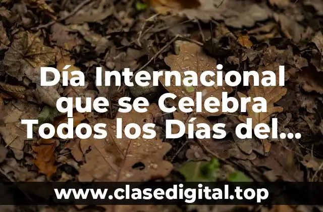 Día Internacional que se Celebra Todos los Días del Año