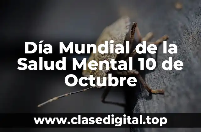 La Importancia de la Salud Mental