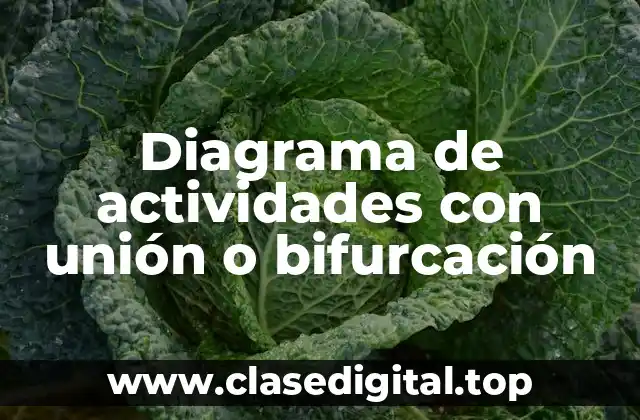 Diagrama de actividades con unión o bifurcación