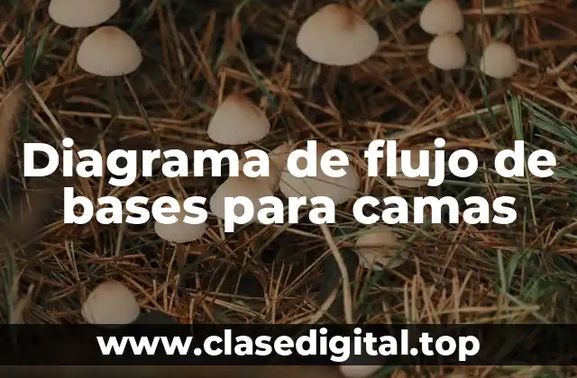 Diagrama de flujo de bases para camas