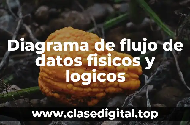 Diagrama de flujo de datos fisicos y logicos