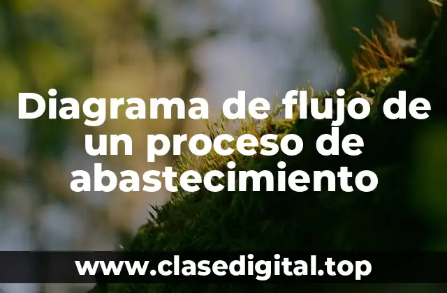 Diagrama de flujo de un proceso de abastecimiento