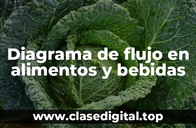 Diagrama de flujo en alimentos y bebidas