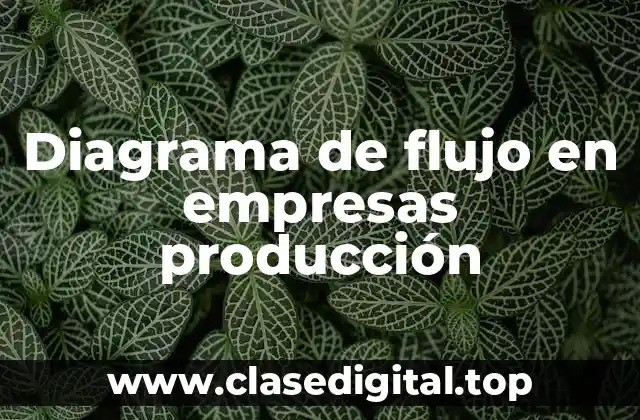 Diagrama de flujo en empresas producción
