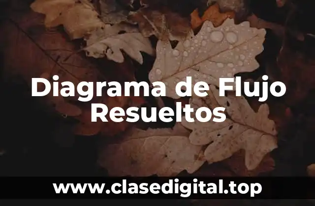 Diagrama de Flujo Resueltos