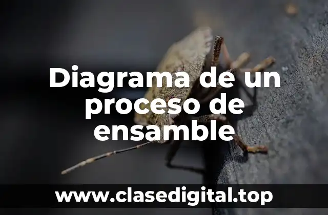 Ejemplos de diagramas de proceso de ensamble