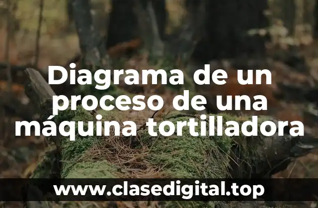 Diagrama de un proceso de una máquina tortilladora