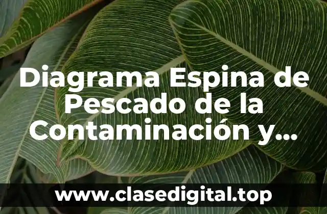 Diagrama Espina de Pescado de la Contaminación y Significado