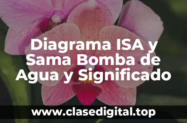Ejemplos de Diagramas ISA