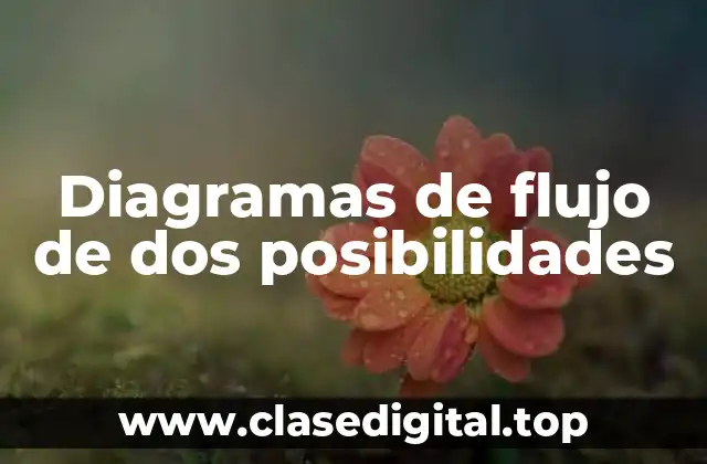 Diagramas de flujo de dos posibilidades