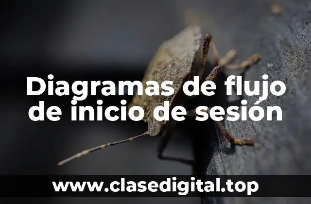 Ejemplos de diagramas de flujo de inicio de sesión