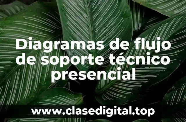 Diagramas de flujo de soporte técnico presencial