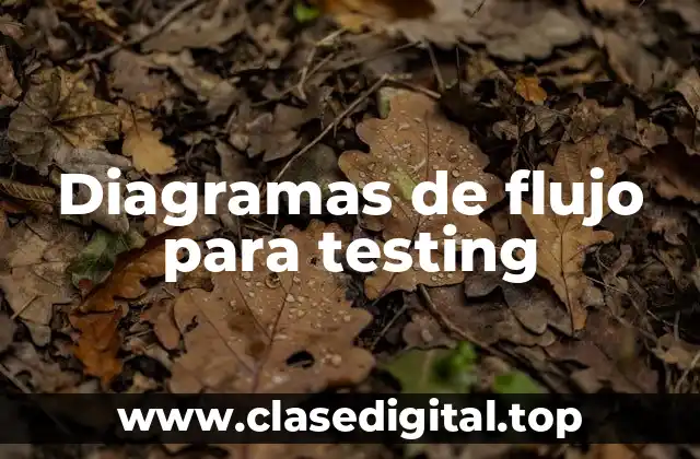 Diagramas de flujo para testing