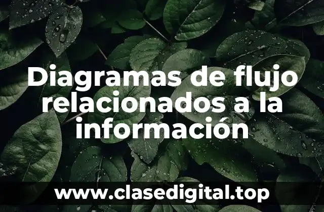 Diagramas de flujo relacionados a la información