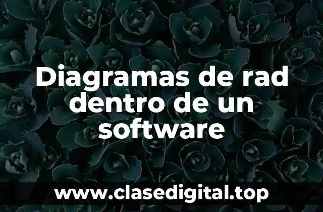 Diagramas de rad dentro de un software