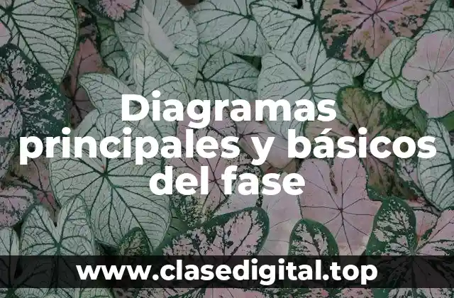 Ejemplos de diagramas principales y básicos del fase