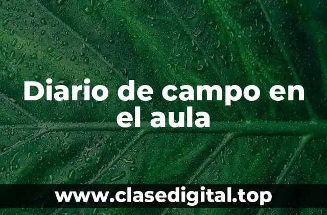 Diario de campo en el aula