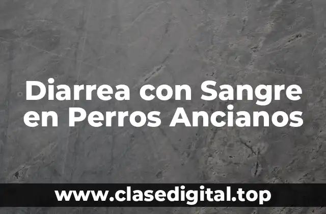 Diarrea con Sangre en Perros Ancianos