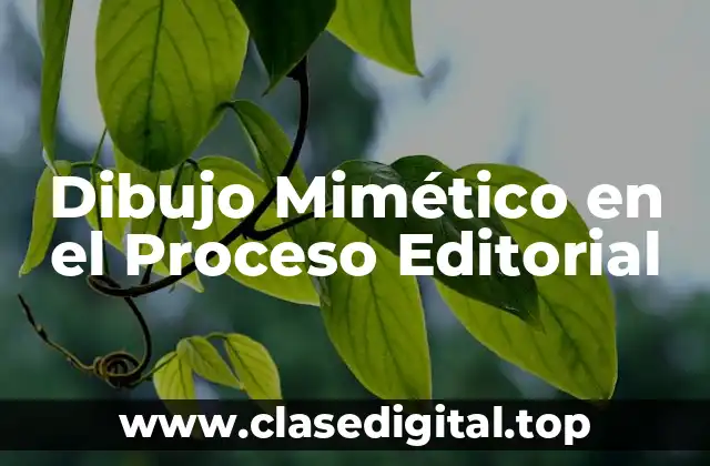 Dibujo Mimético en el Proceso Editorial