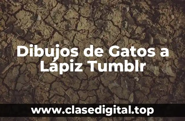 Dibujos de Gatos a Lápiz Tumblr