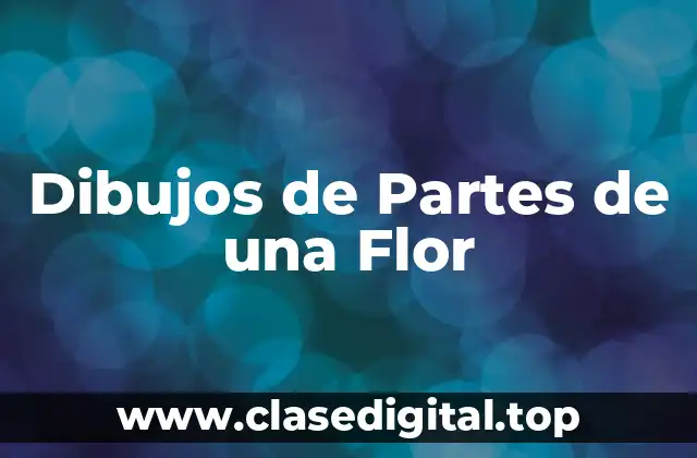 Dibujos de Partes de una Flor