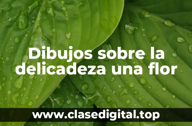 Dibujos sobre la delicadeza una flor