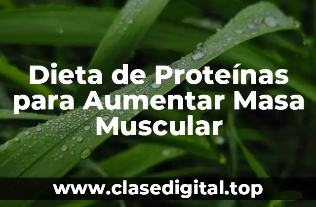 Dieta de Proteínas para Aumentar Masa Muscular