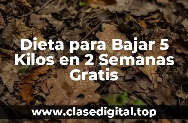 ¿Cuáles son los Principios Básicos de la Dieta para Bajar 5 Kilos en 2 Semanas?