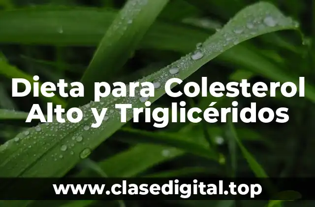 Dieta para Colesterol Alto y Triglicéridos
