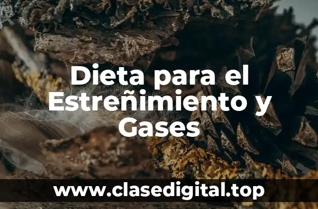 Dieta para el Estreñimiento y Gases